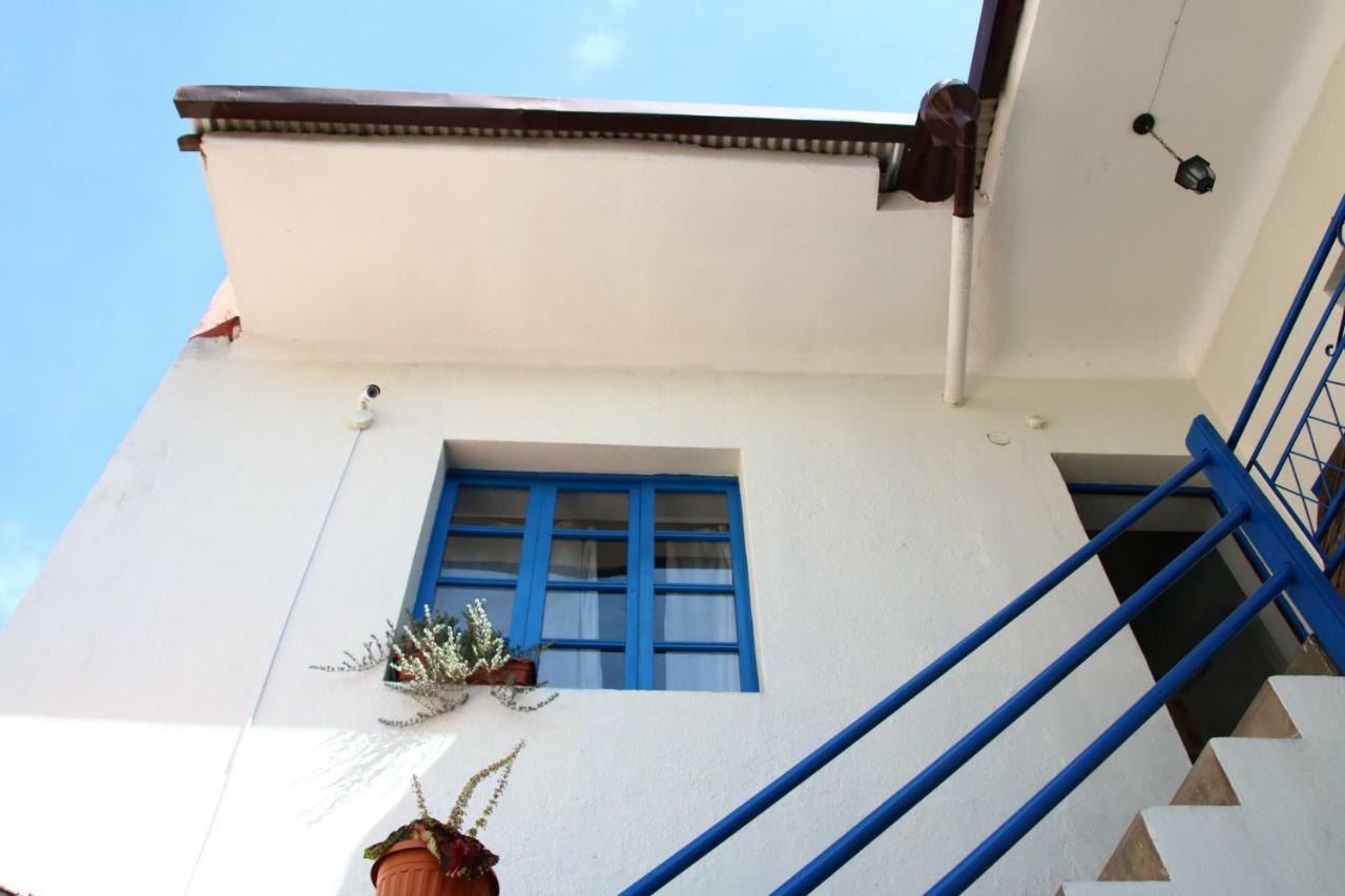 Jaguar House Hostel Cochabamba Luaran gambar